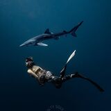 Salty Souls Freediving Club