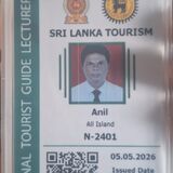 Anil mendis