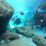 Deep Aqua Dive Center