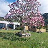Braxmere Fishing Lodge