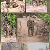 Meera tours and travel