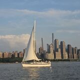 Concrete Jungle Cruises