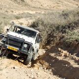 Israeli Wild