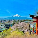 Domo Japan Guide