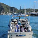 Blackfin sportfishing & tours