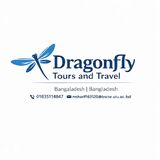 Dragonfly Tours and Travel
