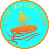 Efoil Waikiki