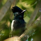 Ecological Tours Kenya