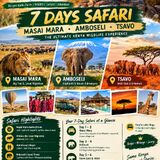 Kelly safaris and adventures