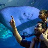 Odysseo oceanarium Mauritius