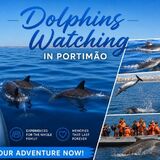 Seadolphins Algarve Lda