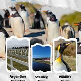 Mobile Tours