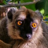 Blue Madagasikara Tours