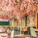 Residents Cafe and Bar