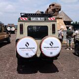 Golden Lion Safaris Ltd
