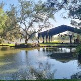 El Pinar del Chayán
