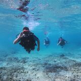 Dive Cypria