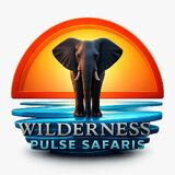 Wilderness Pulse Safaris