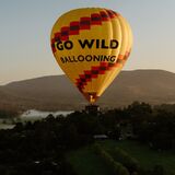 Go Wild Ballooning