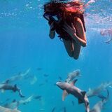 Atlantis Tours and Excursions