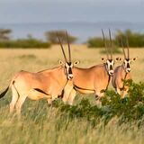 Hike in Ethiopia Tours