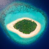 Survive Maldives