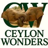 Ceylon wonders tourism