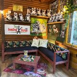 The Feeding Station Café