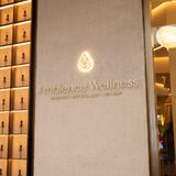 Ambience Wellness