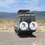 Sunlife Tours