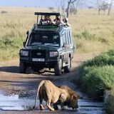 Rwanda Tourism Tours And Trave
