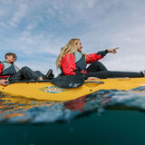 Seal Kayak Kaikoura