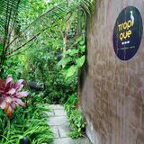 Le Tropique Cafe