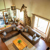 Lulu Safaris on Kruger