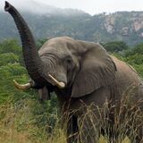 TRAVELDEORWANDA LTD