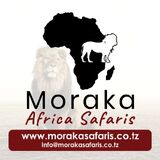 MORAKA AFRICA SAFARIS