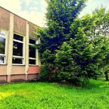 Bar mleczny Promyk