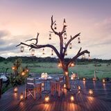 Alwa Africa