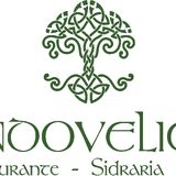 Celta Endovélico