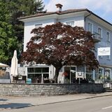 Albergo Mirador Ascona