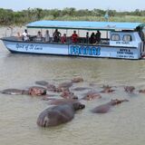 St Lucia Safaris / Fannas