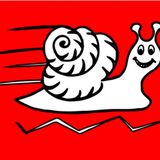 Crazy Snail Rentals