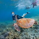 Calypso Reef Imagery Centre