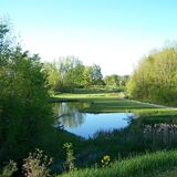 Meaford Golf Course Inc.
