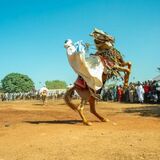 The Ghaani festival