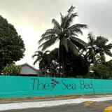 The Sea Bed Seychelles