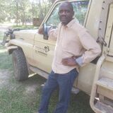 Exploration Africa Wildlife