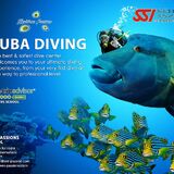 Maldives Passions Dive School