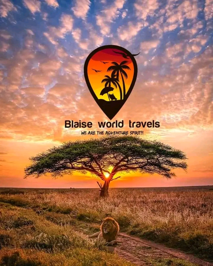 Blaise world