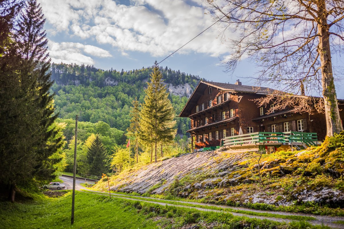 MOS Guesthouse